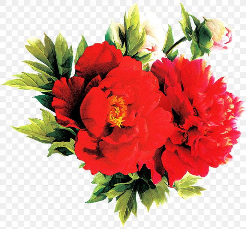Floral Design Cut Flowers Carnation Flower Bouquet, PNG, 846x791px, Floral Design, Annual Plant, Artificial Flower, Carnation, Cut Flowers Download Free