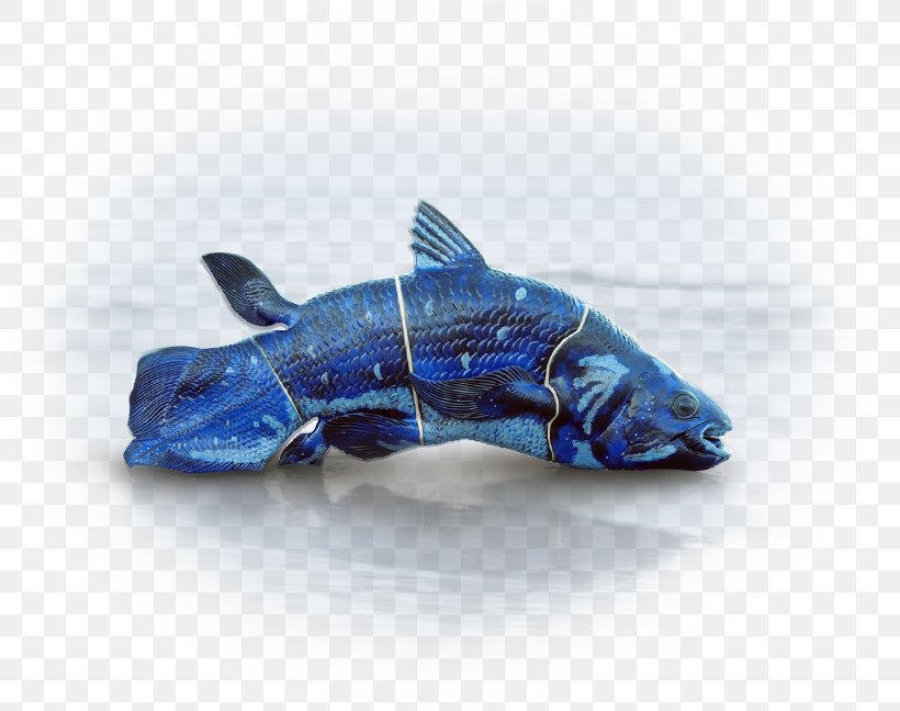 Dolphin Cobalt Blue Plastic, PNG, 805x648px, Dolphin, Blue, Blue Fish, Cobalt, Cobalt Blue Download Free