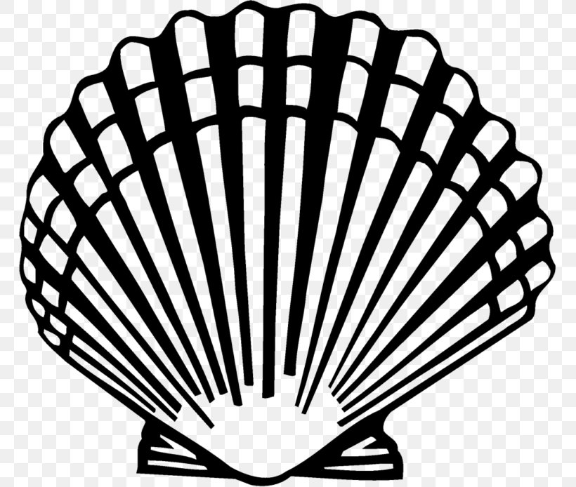 Seashell Clam Scallop Clip Art, PNG, 768x694px, Seashell, Art, Bay Scallop, Black And White, Clam Download Free