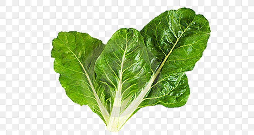 Swiss Cuisine Mediterranean Cuisine Chard Leaf Vegetable, PNG, 584x436px, Swiss Cuisine, Cabbage, Chard, Choy Sum, Collard Greens Download Free