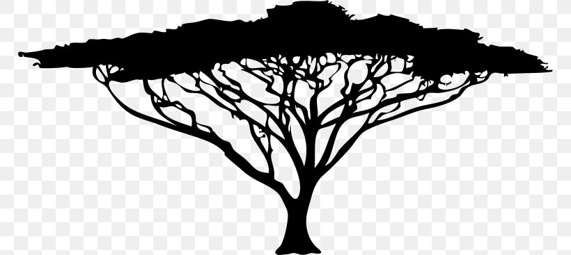 African Trees Silhouette Acacia Clip Art, PNG, 768x367px, African Trees, Acacia, Black, Black And White, Branch Download Free