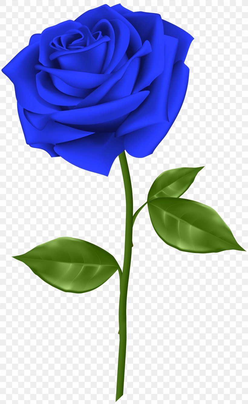 Blue Rose Flower Clip Art, PNG, 3689x6000px, Blue Rose