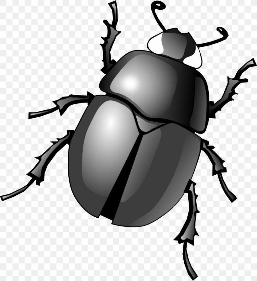 Dung Beetle Clip Art, PNG, 1097x1200px, Beetle, Arthropod, Artwork, Black And White, Dung Beetle Download Free