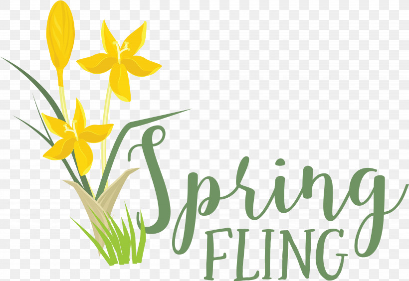 Floral Design, PNG, 5917x4075px, Floral Design, Biology, Cut Flowers, Daffodil, Flower Download Free