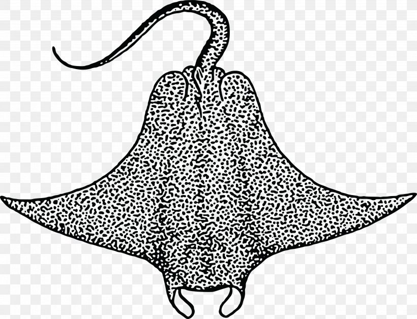 Devil Fish Giant Oceanic Manta Ray Myliobatoidei Clip Art, PNG, 4000x3065px, Devil Fish, Artwork, Batoidea, Black And White, Clothing Download Free