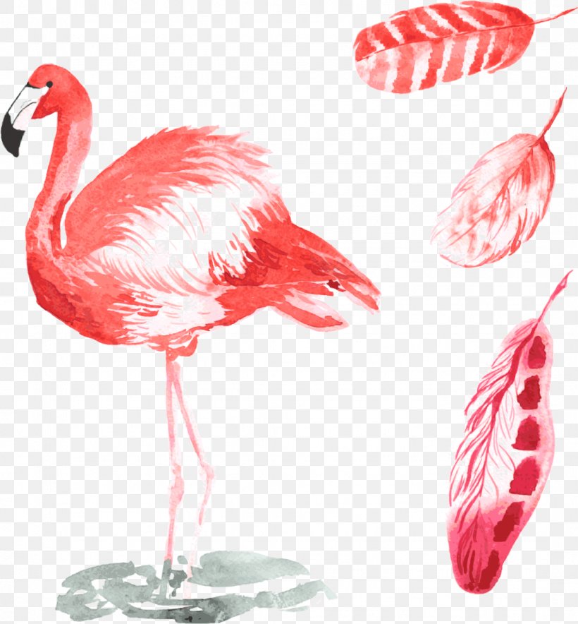 Bird Common Ostrich Flamingos Illustration, PNG, 1078x1163px, Bird, Animal, Beak, Cartoon, Common Ostrich Download Free