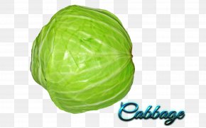 Vegetable - Capitata Group Vegetable Clip Art PNG