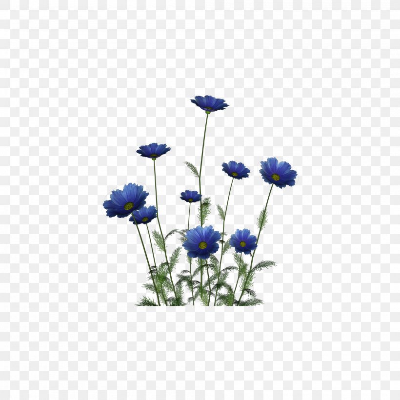 Cut Flowers Drawing, PNG, 2000x2000px, Flower, Blue, Cobalt Blue, Cut Flowers, Drawing Download Free