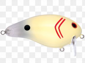 Fishing - Fishing Baits & Lures PNG