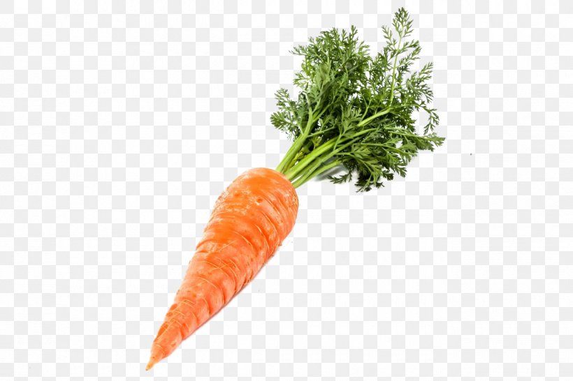 Baby Carrot Stock Photography, PNG, 1300x866px, Baby Carrot, Carrot, Diet Food, Food, Leaf Vegetable Download Free