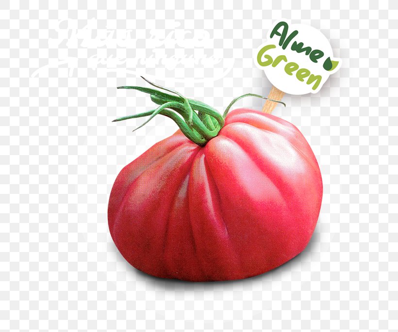 Beefsteak Tomato Food Greenhouse Vegetarian Cuisine, PNG, 747x685px, Tomato, Almeria, Beefsteak Tomato, Bell Pepper, Bell Peppers And Chili Peppers Download Free