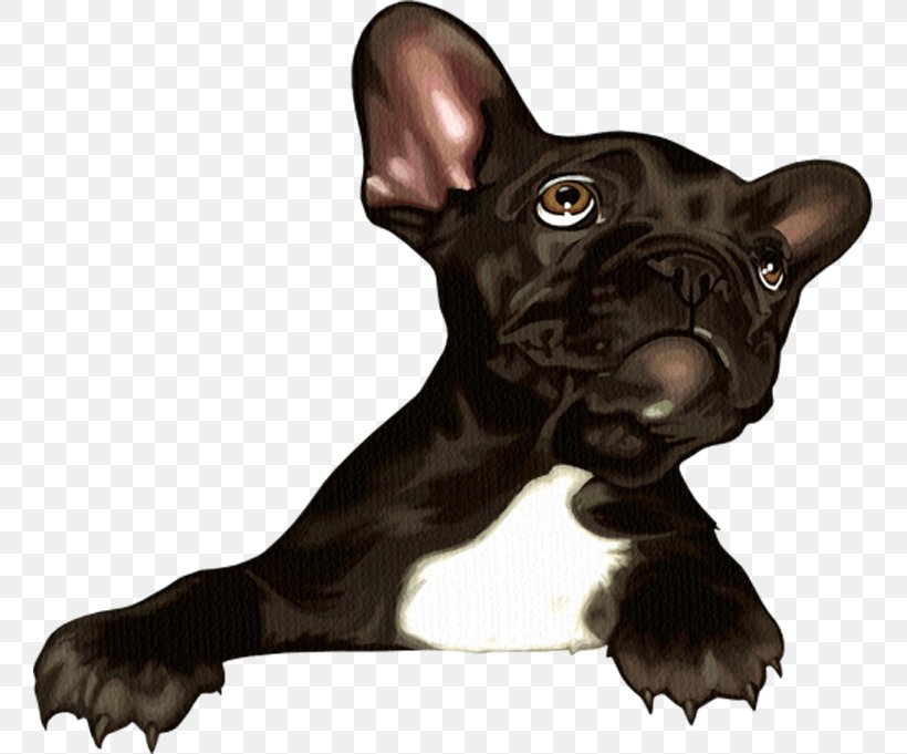French Bulldog Toy Bulldog Puppy Dog Breed, PNG, 759x681px, French Bulldog, Animal, Breed, Bulldog, Carnivoran Download Free