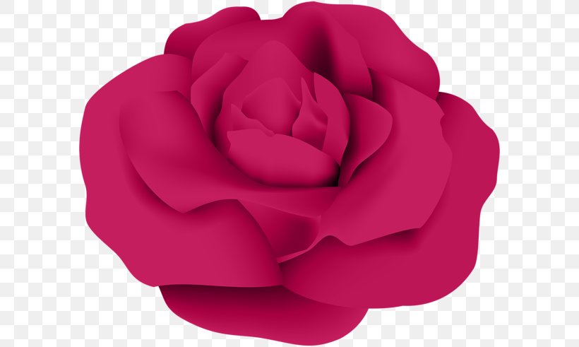 Garden Roses Cabbage Rose Flower Clip Art, PNG, 600x491px, Garden Roses, Blossom, Cabbage Rose, Flower, Flowering Plant Download Free