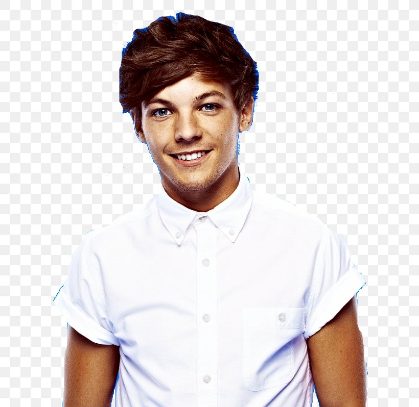 Louis Tomlinson Take Me Home Tour The X Factor One Direction, PNG, 782x798px, Watercolor, Cartoon, Flower, Frame, Heart Download Free