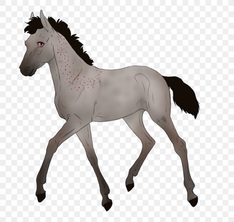 Mustang Arabian Horse Stallion Foal Pony, PNG, 917x870px, Mustang, Andalusian Horse, Animal Figure, Arabian Horse, Australian Stock Horse Download Free
