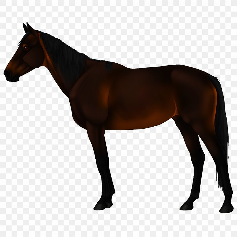 Appaloosa American Paint Horse Arabian Horse American Quarter Horse Akhal-Teke, PNG, 2000x2000px, Appaloosa, Akhalteke, American Paint Horse, American Quarter Horse, Animal Figure Download Free