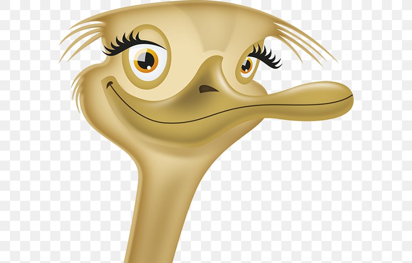 Common Ostrich Nose Cartoon, PNG, 588x524px, Common Ostrich, Beak, Bird, Cartoon, Character Download Free