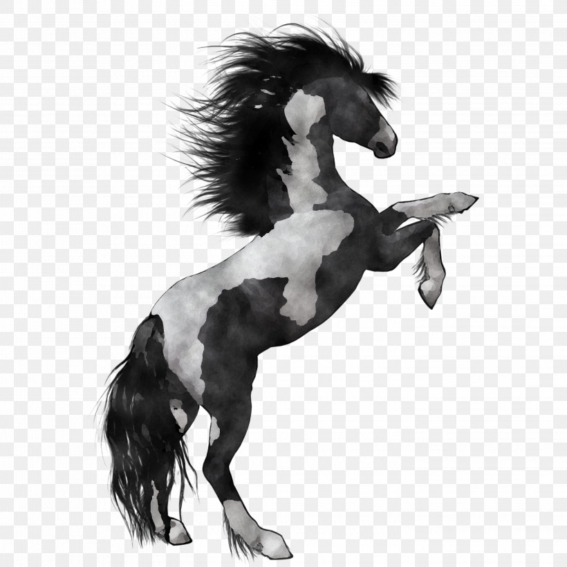 Horse Animal Figure Stallion Mane Mare, PNG, 2896x2896px, Horse, Animal Figure, Blackandwhite, Livestock, Mane Download Free