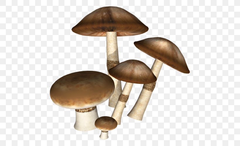 Icon, PNG, 550x500px, Mushroom, Color Depth, Computer, Food, Poster Download Free