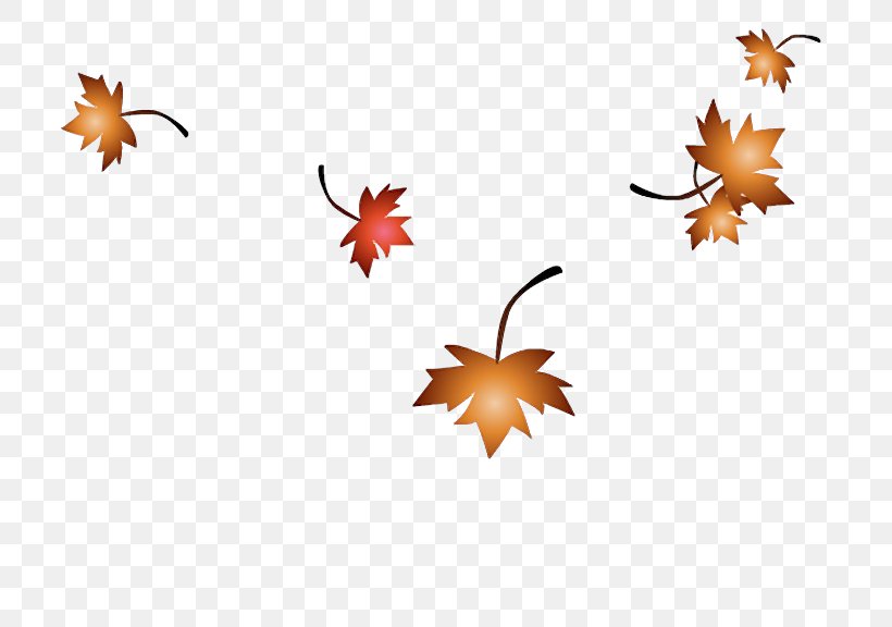 Maple Leaf SWF, PNG, 720x576px, Maple Leaf, Adobe Flash, Adobe Flash Player, Animation, Branch Download Free