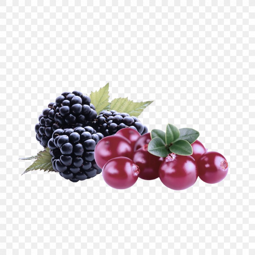 Berry Blackberry Fruit Frutti Di Bosco Natural Foods, PNG, 1200x1200px, Berry, Blackberry, Food, Fruit, Frutti Di Bosco Download Free