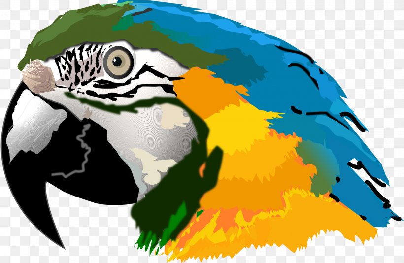 Bird Parrot, PNG, 1431x933px, Macaw, Beak, Bird, Blueandyellow Macaw, Drawing Download Free