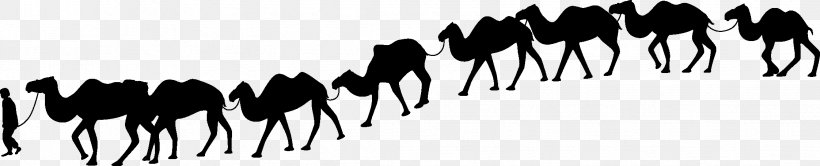 Camel Train Silhouette Desert, PNG, 2244x457px, Camel, Black And White, Camel Train, Caravan, Desert Download Free