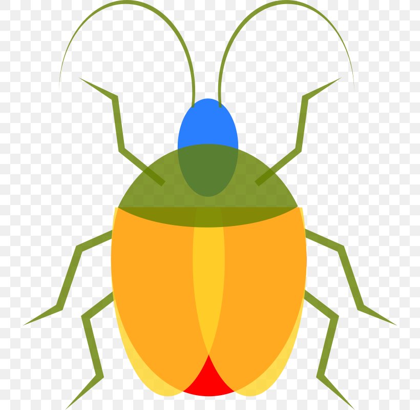 Insect Free Content Clip Art, PNG, 732x800px, Insect, Animation, Artwork, Cricket, Food Download Free