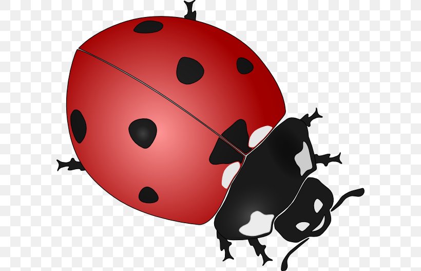 Beetle Ladybird Drawing Black And White Clip Art, PNG, 600x527px, Beetle, Black And White, Color, Coloring Book, Drawing Download Free