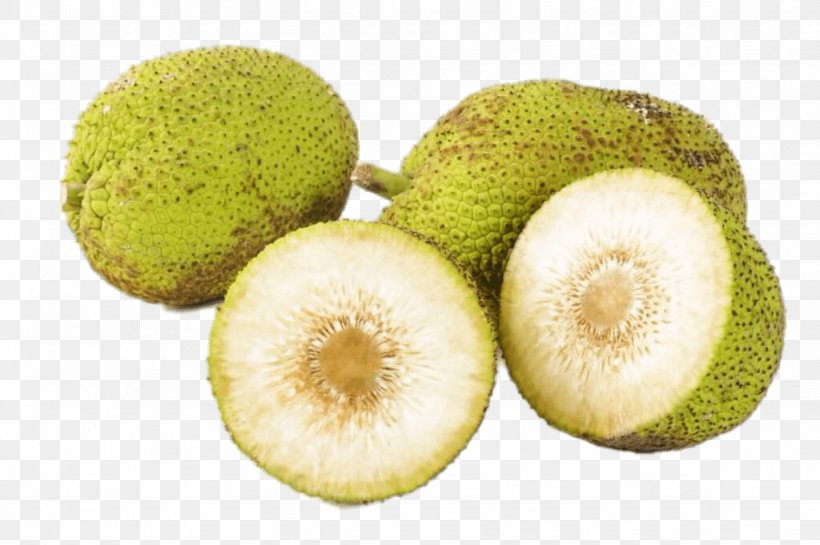 Breadfruit Jackfruit Food Tropical Fruit, PNG, 1024x681px, Breadfruit, Carambola, Feijoa, Food, Fruit Download Free