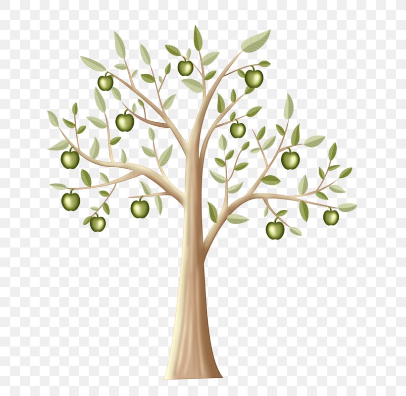 Manzana Verde Tree Apple Twig, PNG, 705x800px, Manzana Verde, Apple, Branch, Cyan, Floral Design Download Free