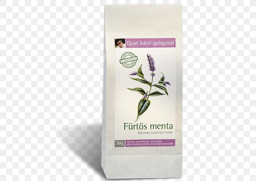 Tea Mentha Longifolia Herb Lemon Balm Breckland Thyme, PNG, 580x580px, Tea, Breckland Thyme, Gloomy Grim, Hawthorn, Herb Download Free
