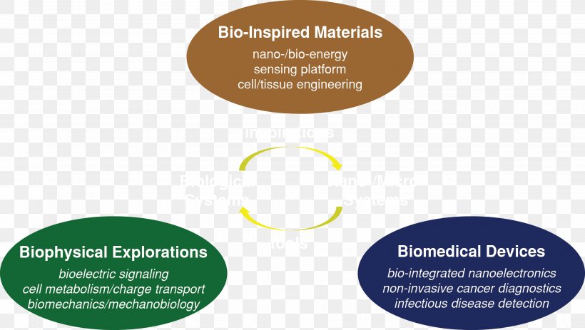 Biomedical Engineering Organization Medicine Research Logo, PNG, 3090x1747px, Biomedical Engineering, Brand, Chemistry, Diagram, Laboratory Download Free