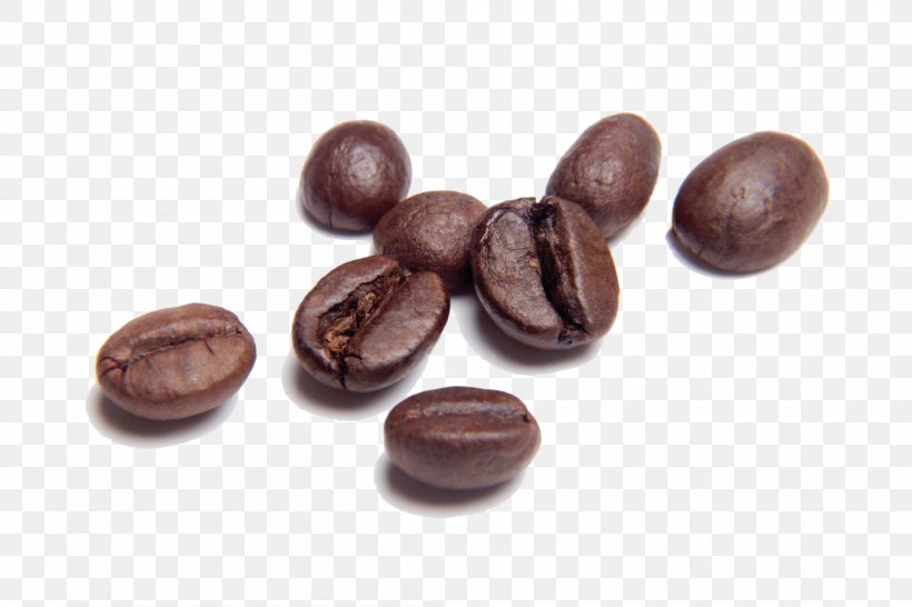 one coffee bean