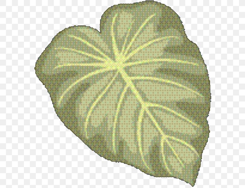 Green Leaf Background, PNG, 607x630px, Green, Anthurium, Flower, Leaf, Morning Glory Download Free