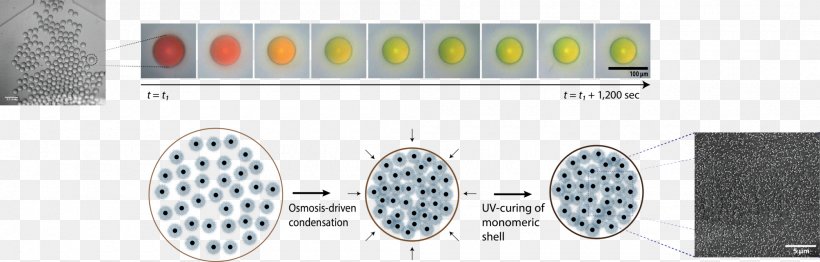 Light Photonic Crystal Structural Coloration Photonics, PNG, 2000x641px, Light, Automotive Lighting, Chalcogenide, Chalcogenide Glass, Color Download Free