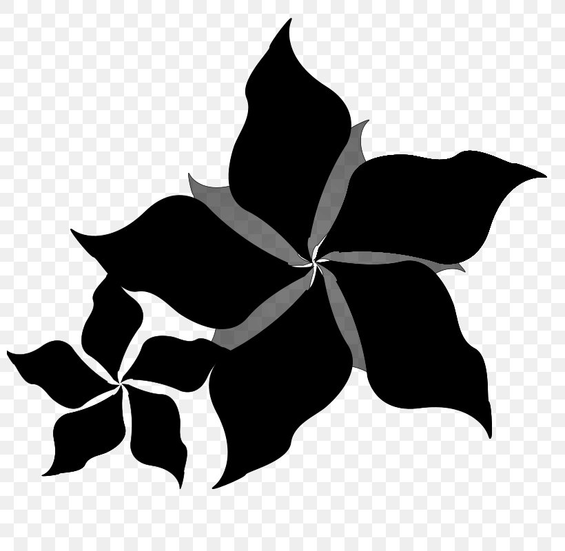 Symmetry Font Leaf Flowering Plant Plants, PNG, 800x800px, Symmetry, Black, Blackandwhite, Botany, Flower Download Free