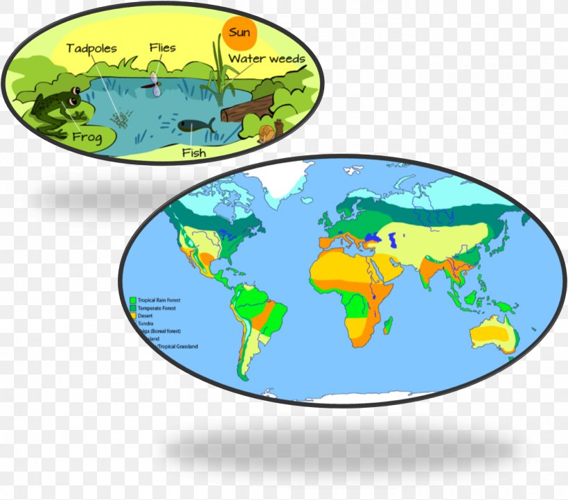 World Map Biome Science Climate, PNG, 1393x1226px, World, Area, Biogeography, Biologist, Biology Download Free