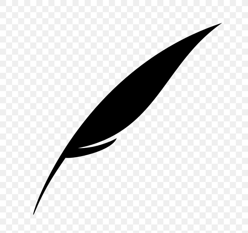 Feather Drawing Clip Art, PNG, 758x768px, Feather, Black, Black And White, Diagram, Drawing Download Free