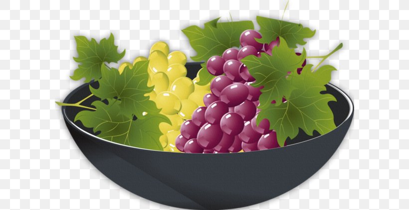 Grape, PNG, 600x422px, Grape, Flowerpot, Food, Fruit, Grape Leaves Download Free