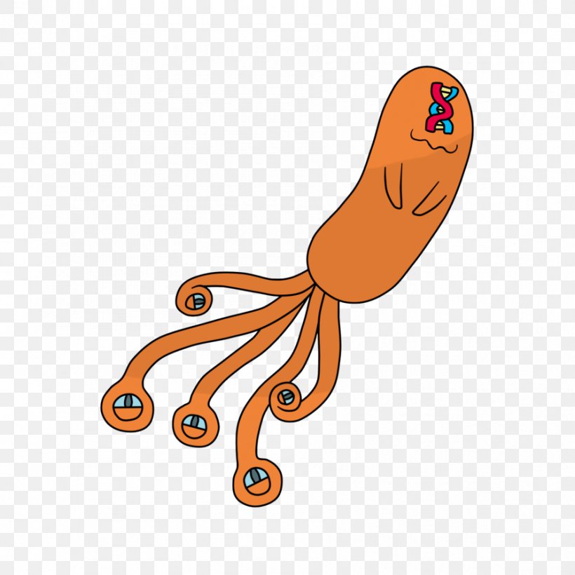 Octopus Clip Art Product Line Orange S.A., PNG, 894x894px, Octopus, American Food, Cartoon, Cephalopod, Food Download Free