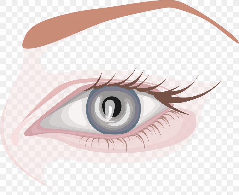 Eyebrow Eyelash Extensions Human Eye, PNG, 3560x2918px, Watercolor, Cartoon, Flower, Frame, Heart Download Free