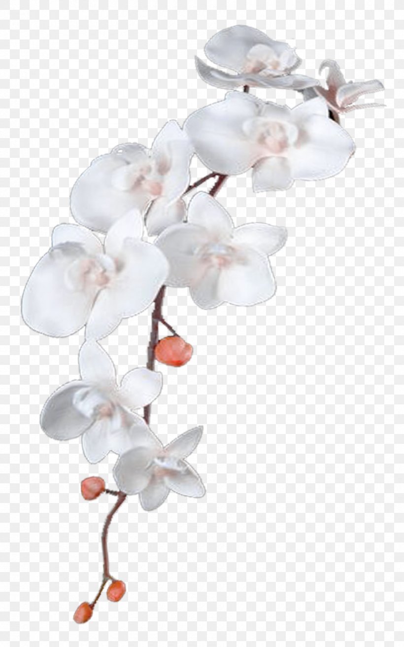Flower DeviantArt Heavenly Healing Hands, PNG, 900x1440px, Flower, Art, Blossom, Branch, Cherry Blossom Download Free