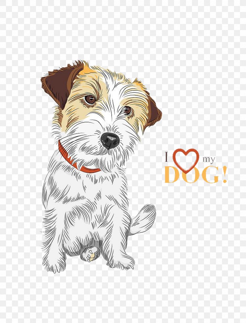 Jack Russell Terrier Puppy Illustration, PNG, 1570x2060px, Jack Russell Terrier, Cairn Terrier, Carnivoran, Companion Dog, Dog Download Free