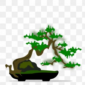 Bonsai - National Bonsai Foundation Tree Clip Art PNG