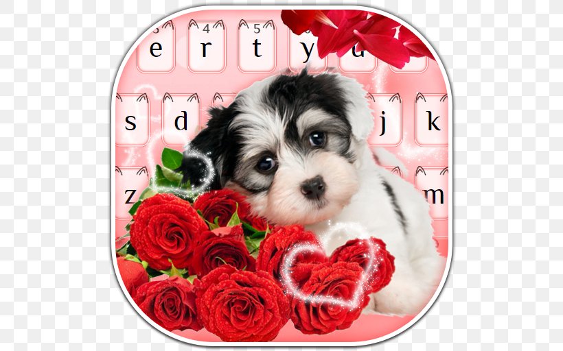 Puppy Greeting & Note Cards Dog Birthday Wish, PNG, 512x512px, Puppy, Animaatio, Biewer Terrier, Birthday, Carnivoran Download Free