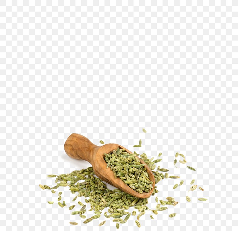 Spice Falafel Herbalism Alternative Health Services Medicine, PNG, 635x798px, Spice, Alternative Health Services, Commodity, Falafel, Flavor Download Free