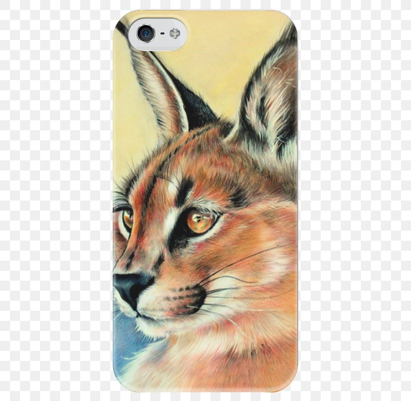 Whiskers Eurasian Lynx Red Fox Felidae Bobcat, PNG, 800x800px, Whiskers, Art, Belle, Bobcat, Carnivoran Download Free