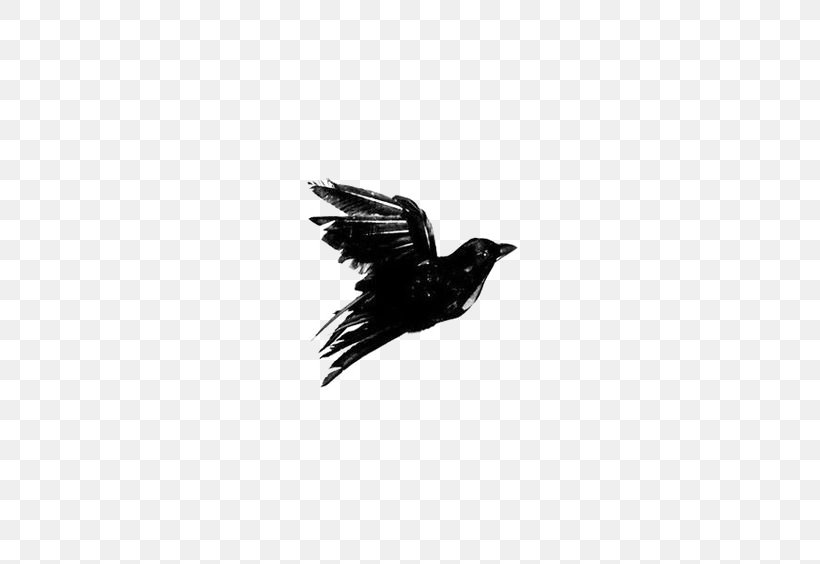 Crows Black And White Blackbird, PNG, 564x564px, Black And White, Art, Beak, Bird, Drawing Download Free