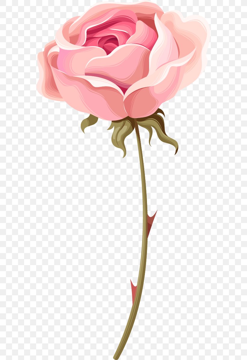 Garden Roses Beach Rose Centifolia Roses Pink, PNG, 577x1195px, Garden Roses, Beach Rose, Bud, Centifolia Roses, Color Download Free